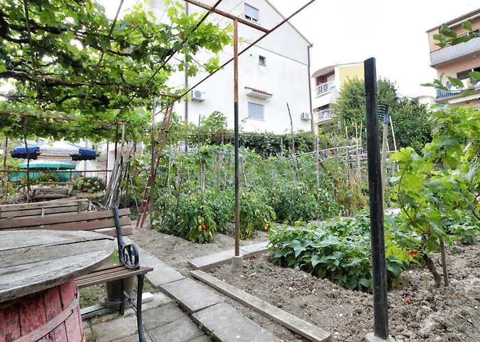 Apartment Rooms&apartments Zelux